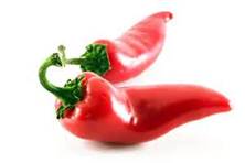 birdseye chili pepper - capsicum annum