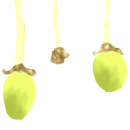 baobab fruit - adansonia digitata