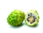 graviola fruit - annona muricata
