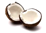 raw shredded coconut - cocos nucifera